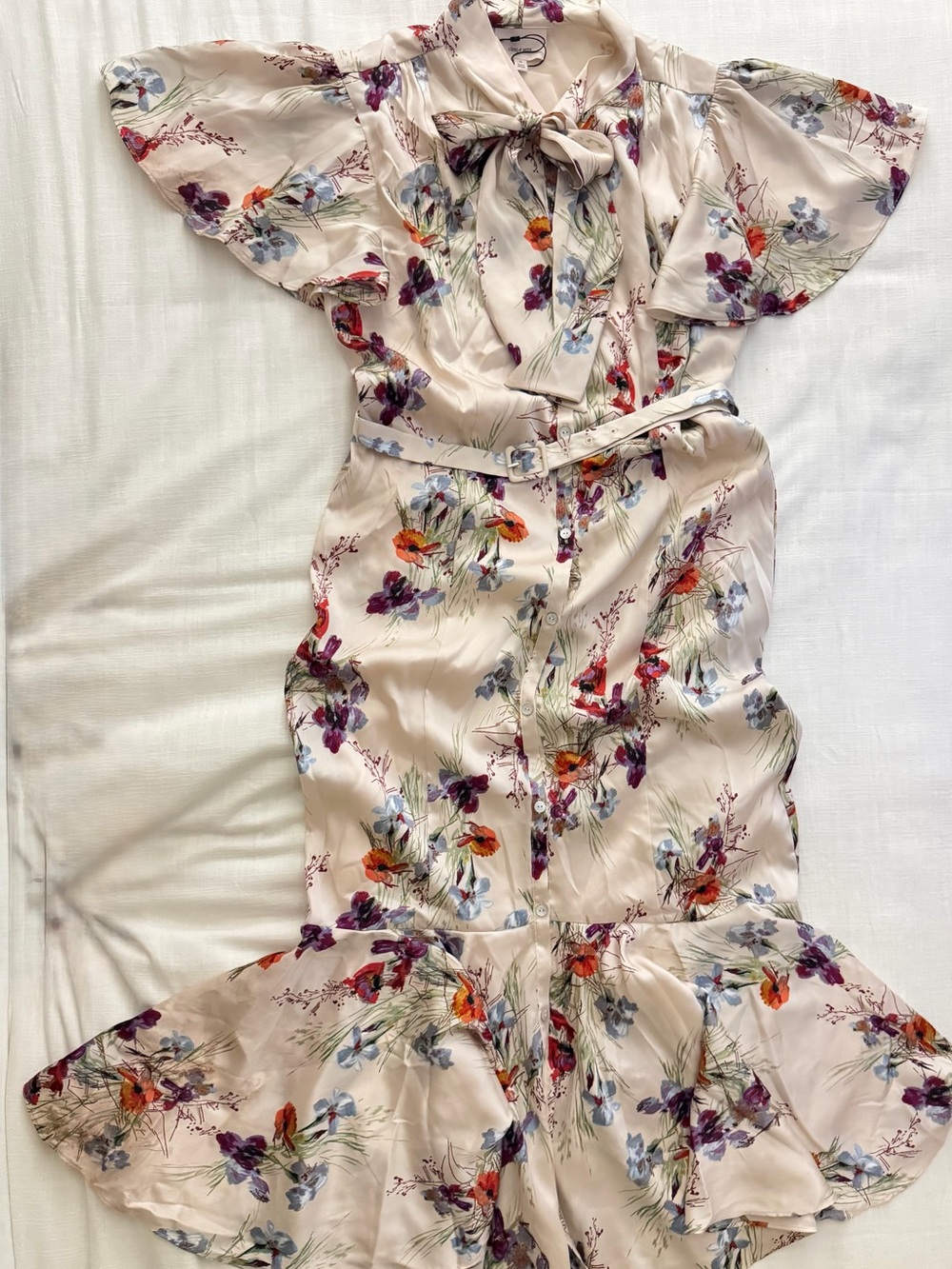 Cinq à Sept Iris Bouquet Willow Dress Oatmilk Multi Floral NWT Size 10 - Picture 7 of 9